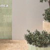 Видеопрезентация коллекции WOW Casablanca