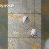 Видеопрезентация коллекции ABK Sensi Signoria