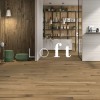 Видеопрезентация коллекции Италон Loft