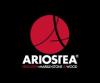 Лого Ariostea