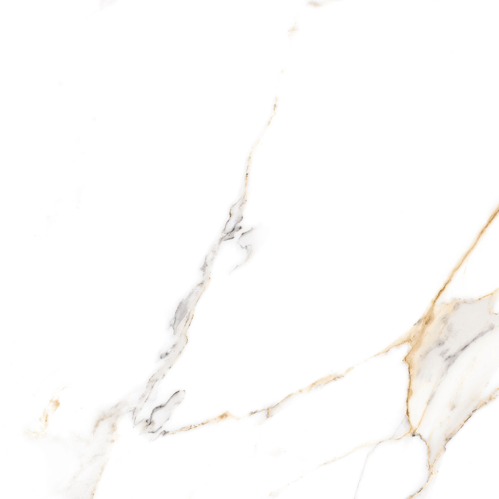 Alma Ceramica Керамогранит GFU6060ECL04R Extra Calacatta матовый 600х600x9 в интерьере