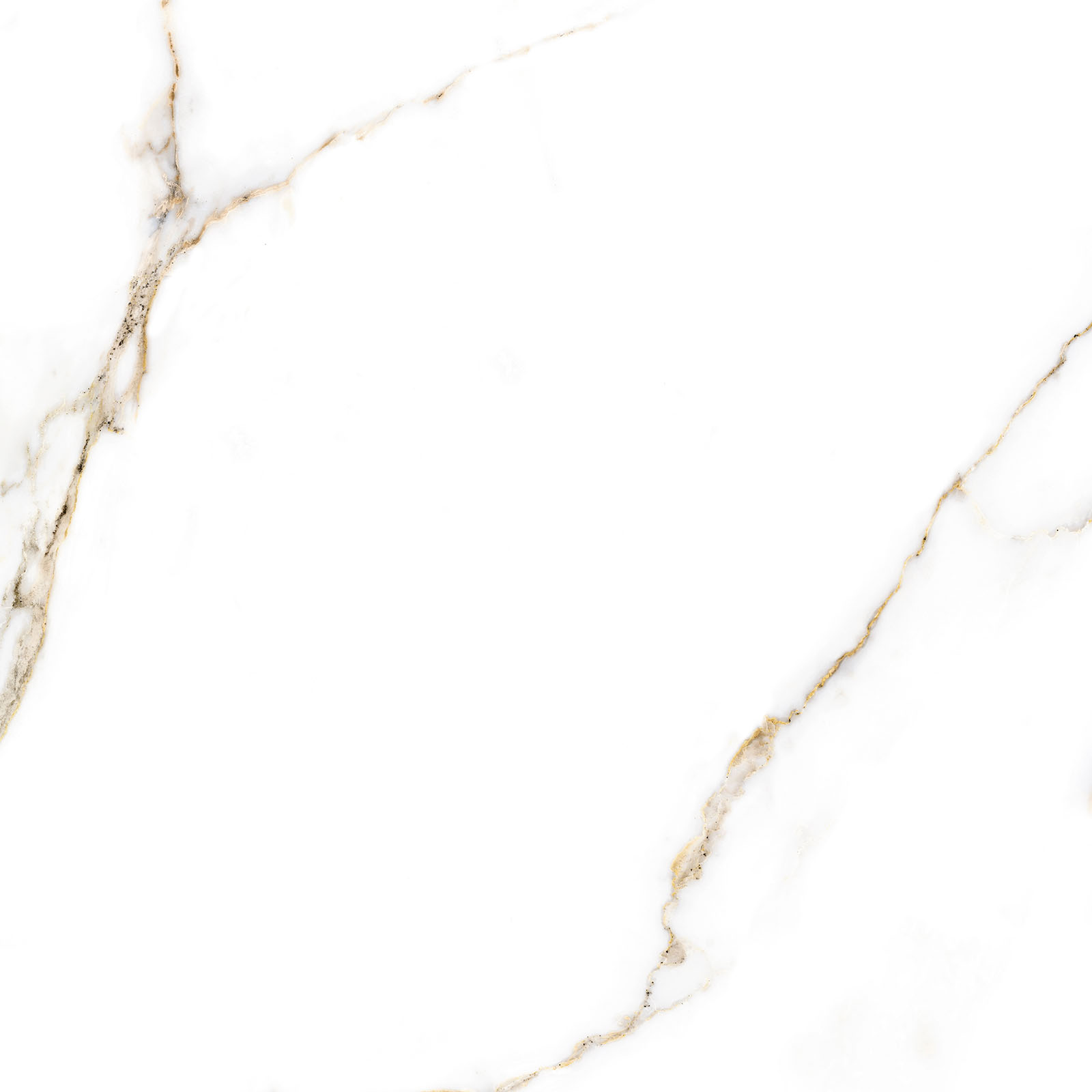 Alma Ceramica Керамогранит GFU6060ECL04R Extra Calacatta матовый 600х600x9 в интерьере