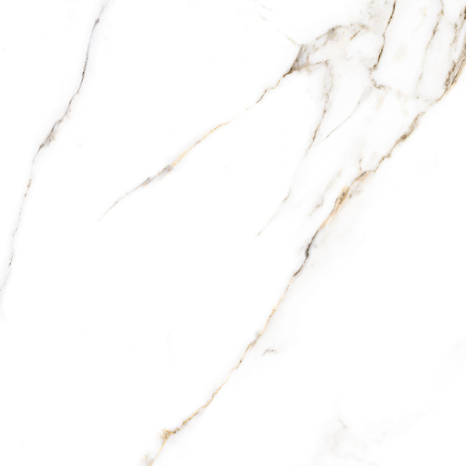 Alma Ceramica Керамогранит GFU6060ECL04R Extra Calacatta матовый 600х600x9 в интерьере