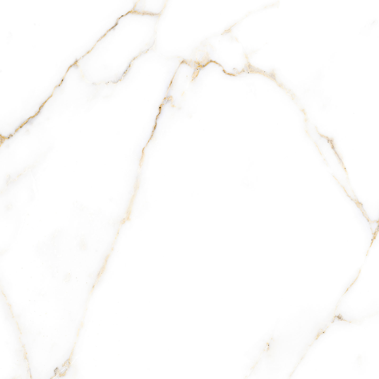 Alma Ceramica Керамогранит GFU6060ECL04R Extra Calacatta матовый 600х600x9 в интерьере