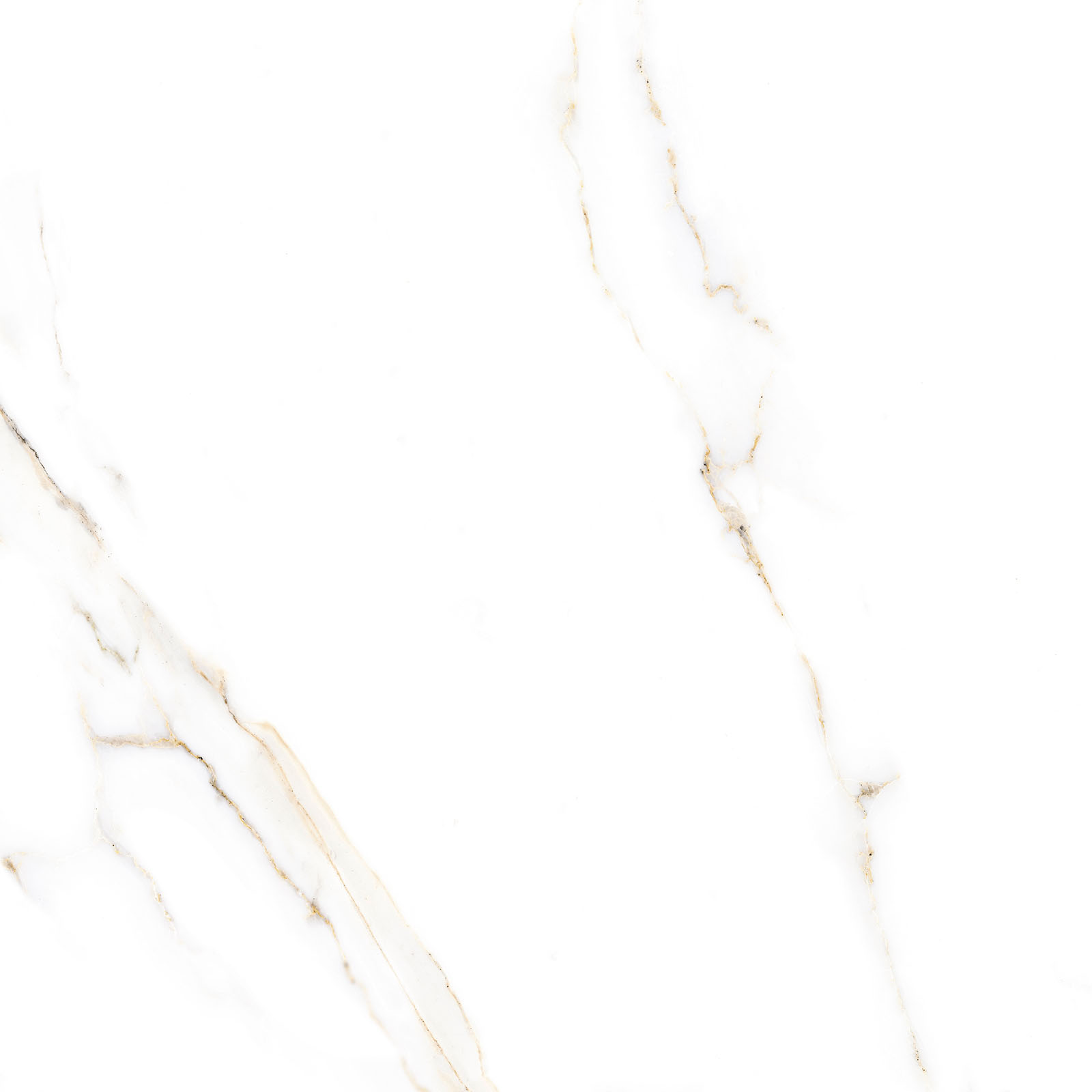 Alma Ceramica Керамогранит GFU6060ECL04R Extra Calacatta матовый 600х600x9 в интерьере
