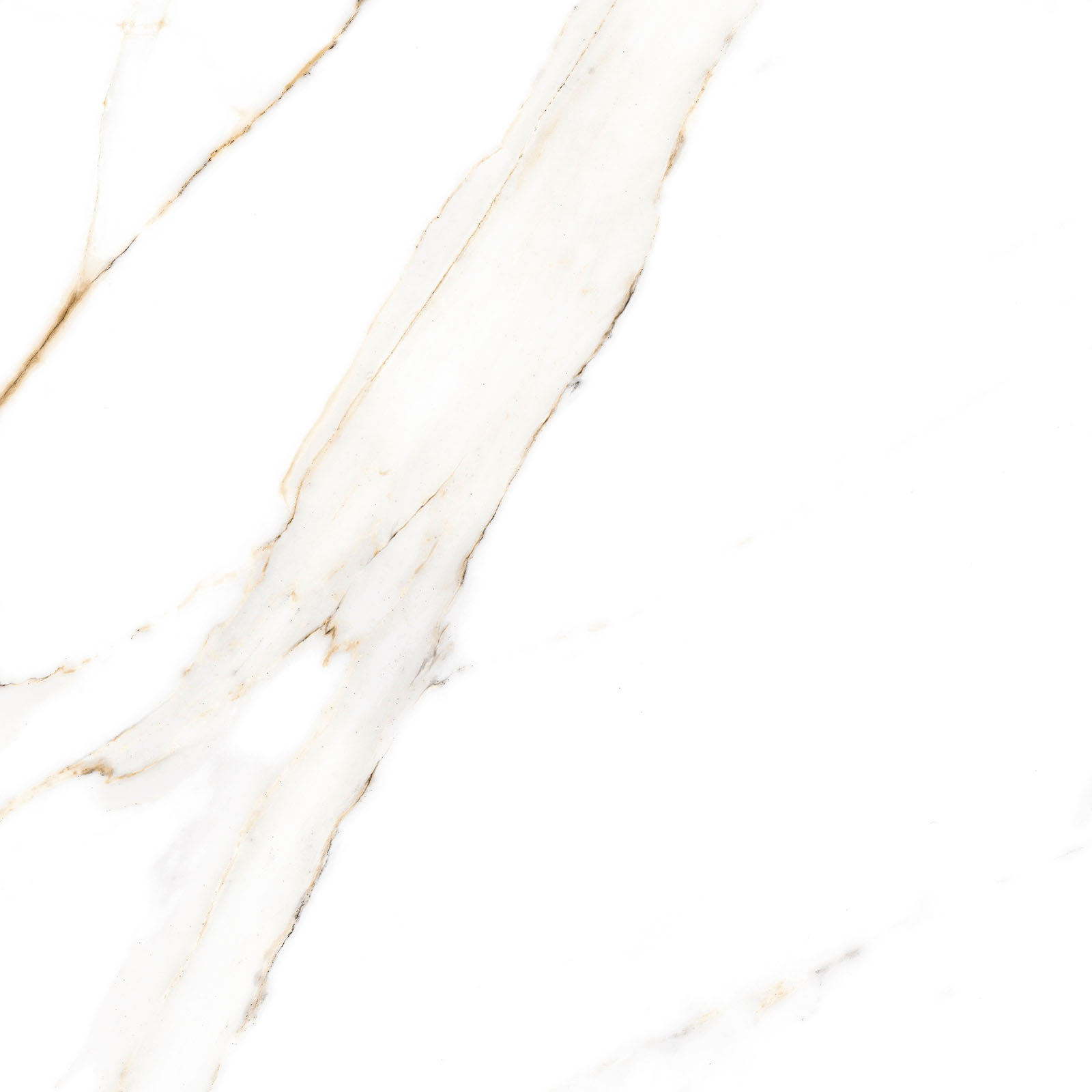 Alma Ceramica Керамогранит GFU6060ECL04R Extra Calacatta матовый 600х600x9 в интерьере