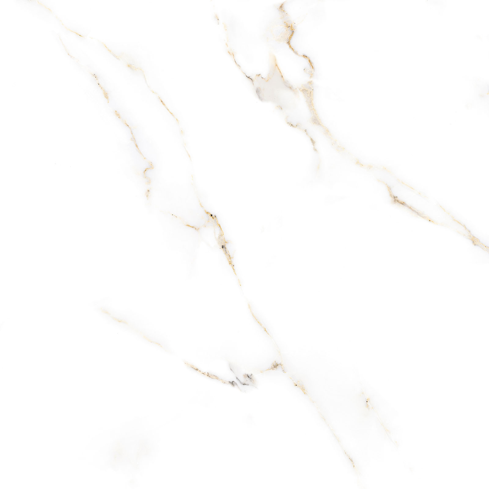 Alma Ceramica Керамогранит GFU6060ECL04R Extra Calacatta матовый 600х600x9 в интерьере