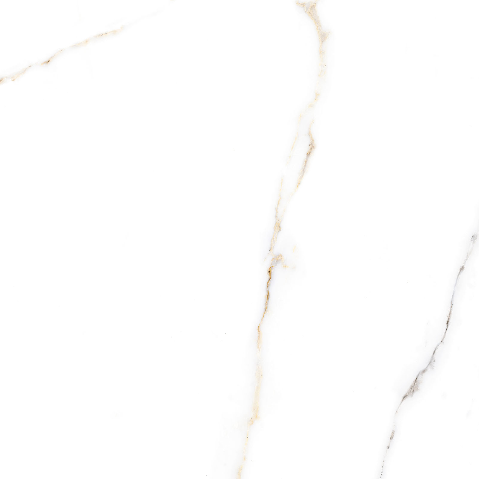 Alma Ceramica Керамогранит GFU6060ECL04R Extra Calacatta матовый 600х600x9 в интерьере