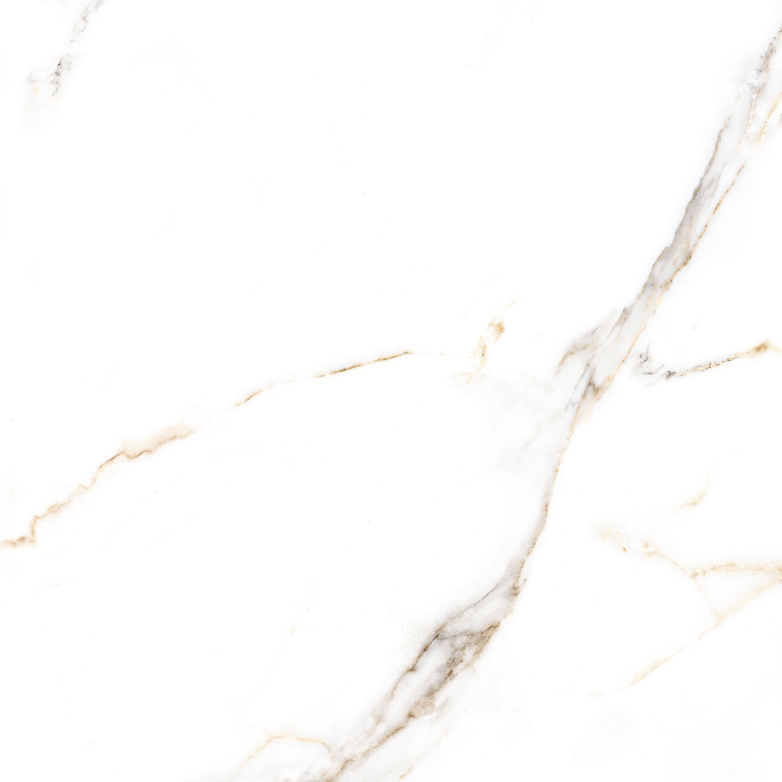 Alma Ceramica Керамогранит GFU6060ECL04R Extra Calacatta матовый 600х600x9 в интерьере