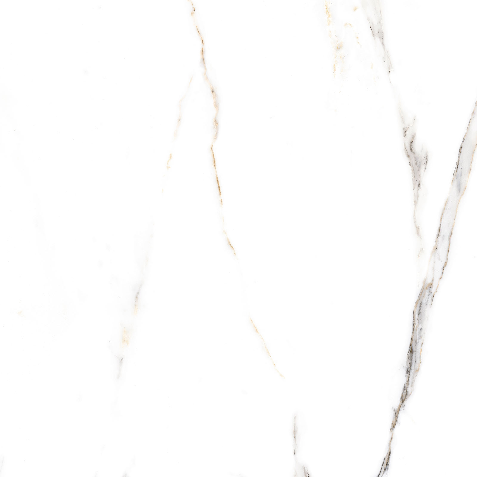 Alma Ceramica Керамогранит GFU6060ECL04R Extra Calacatta матовый 600х600x9 в интерьере