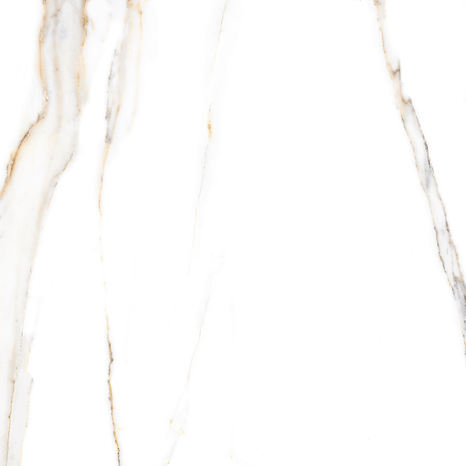 Alma Ceramica Керамогранит GFU6060ECL04R Extra Calacatta матовый 600х600x9 в интерьере