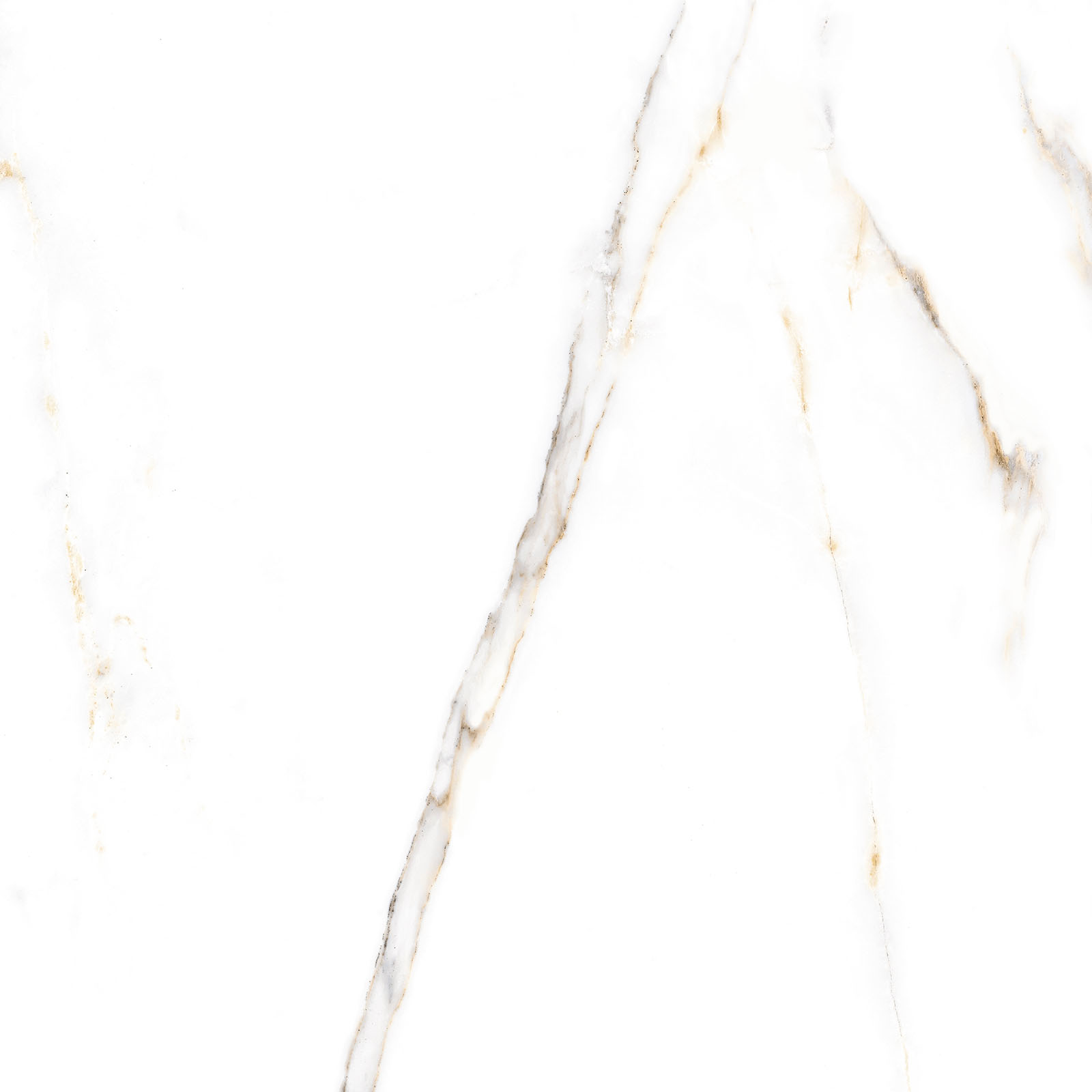 Alma Ceramica Керамогранит GFU6060ECL04R Extra Calacatta матовый 600х600x9 в интерьере