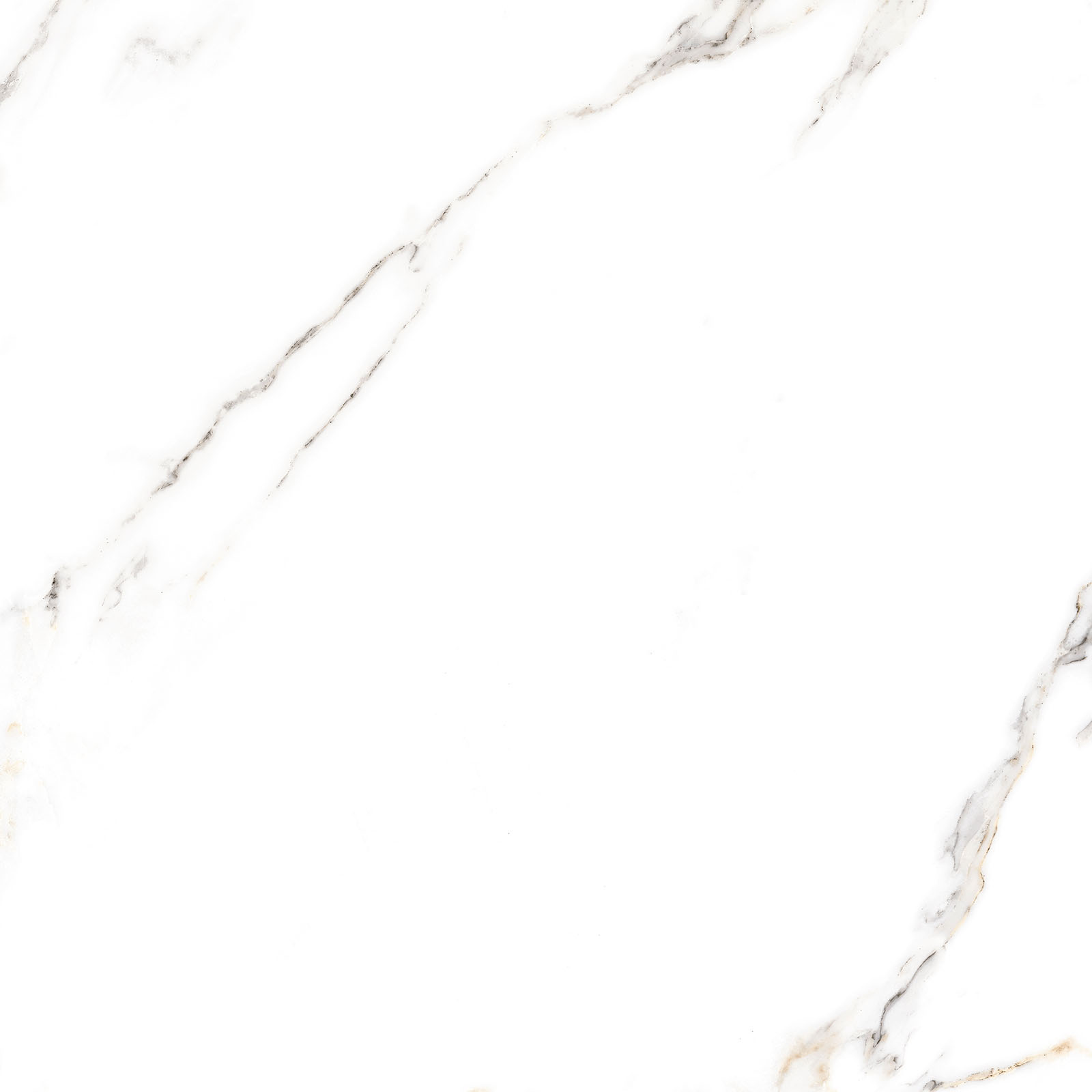 Alma Ceramica Керамогранит GFU6060ECL04R Extra Calacatta матовый 600х600x9 в интерьере