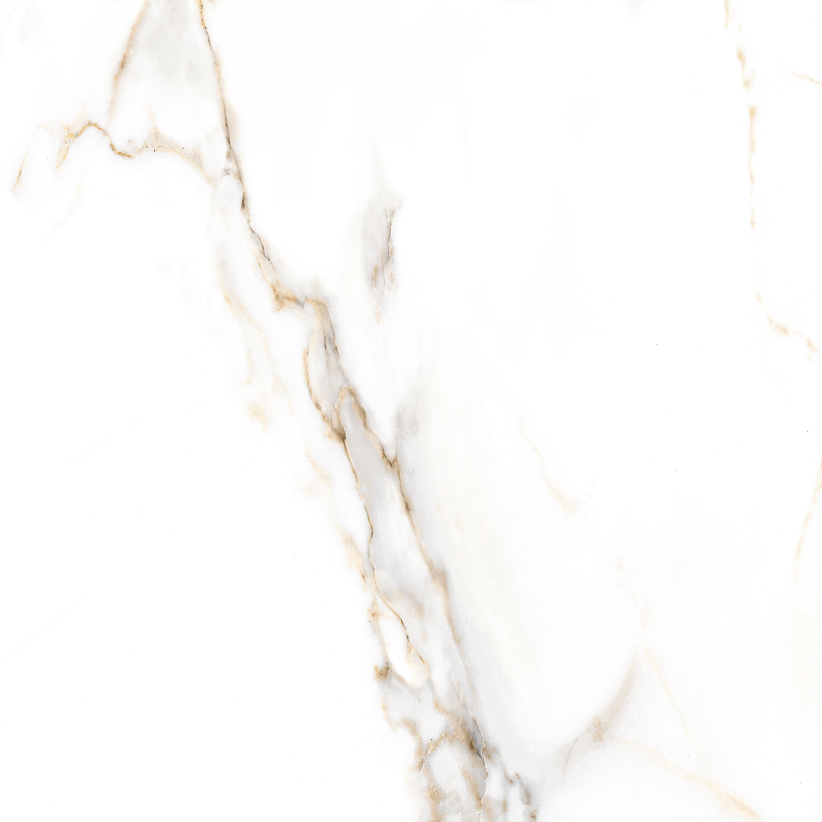 Alma Ceramica Керамогранит GFU6060ECL04R Extra Calacatta матовый 600х600x9 в интерьере
