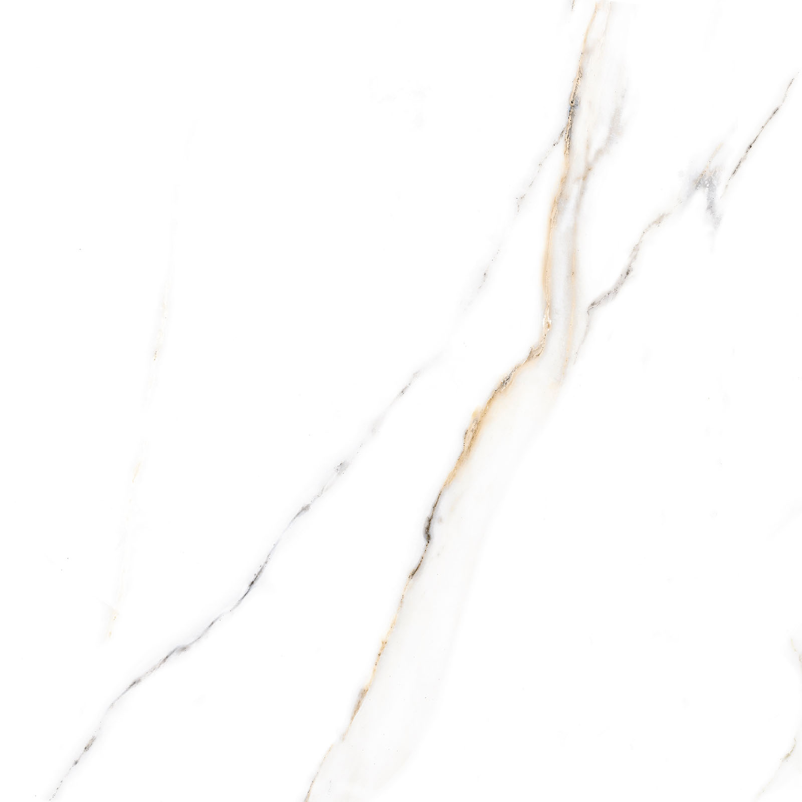 Alma Ceramica Керамогранит GFU6060ECL04R Extra Calacatta матовый 600х600x9 в интерьере