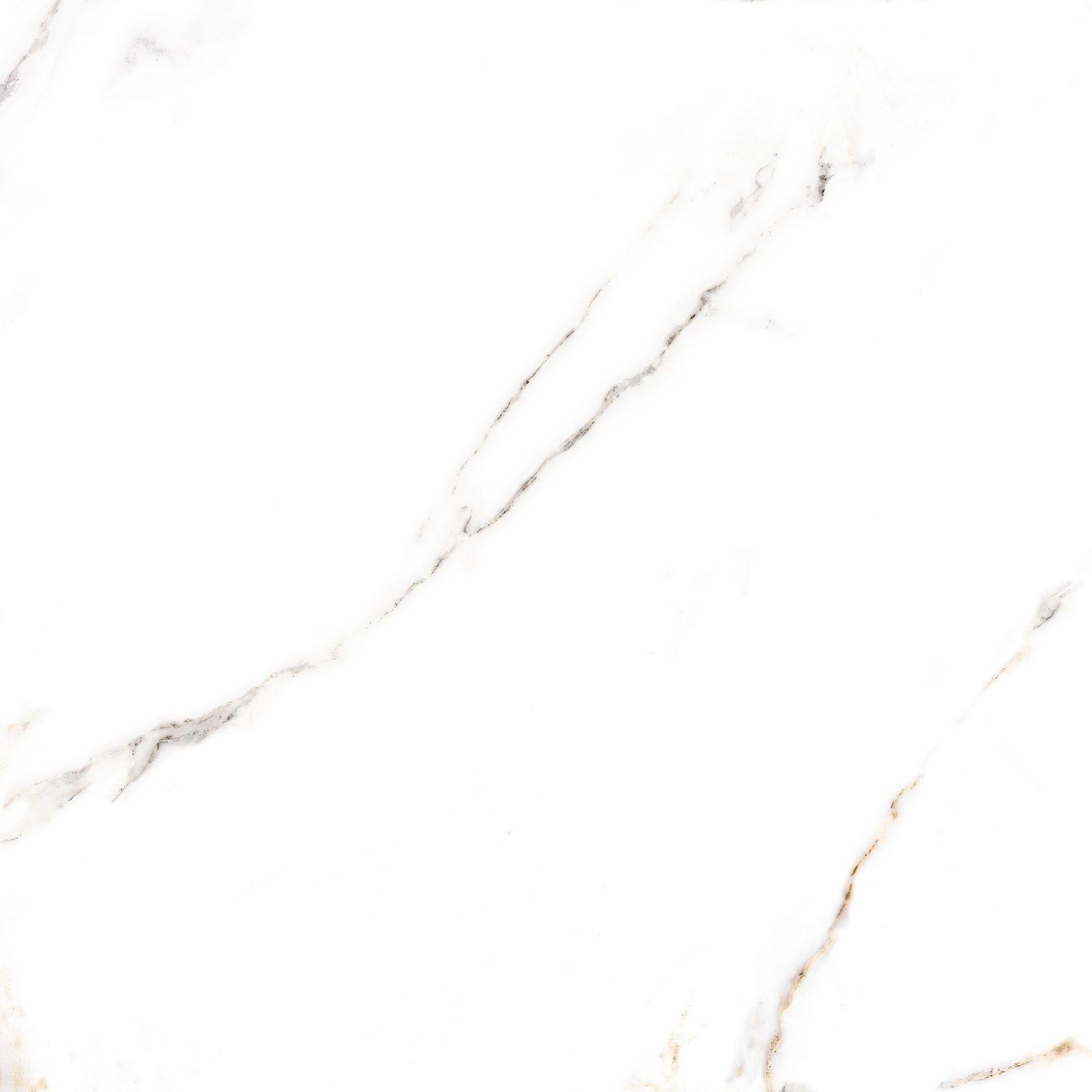 Alma Ceramica Керамогранит GFU6060ECL04R Extra Calacatta матовый 600х600x9 в интерьере