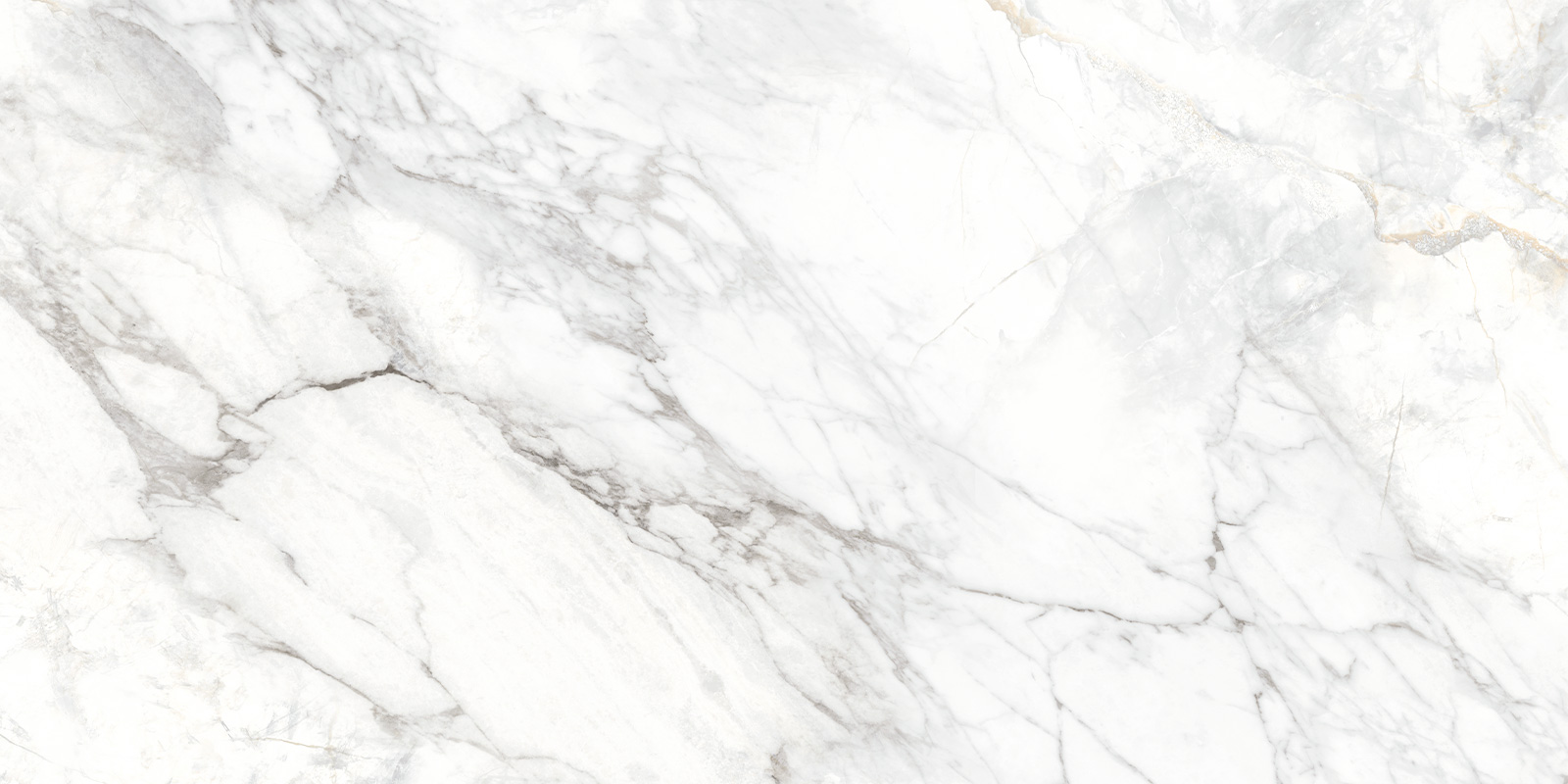 Delacora Керамогранит D120242M Bahamas Carrara матовый 600х1200x9.5 в интерьере