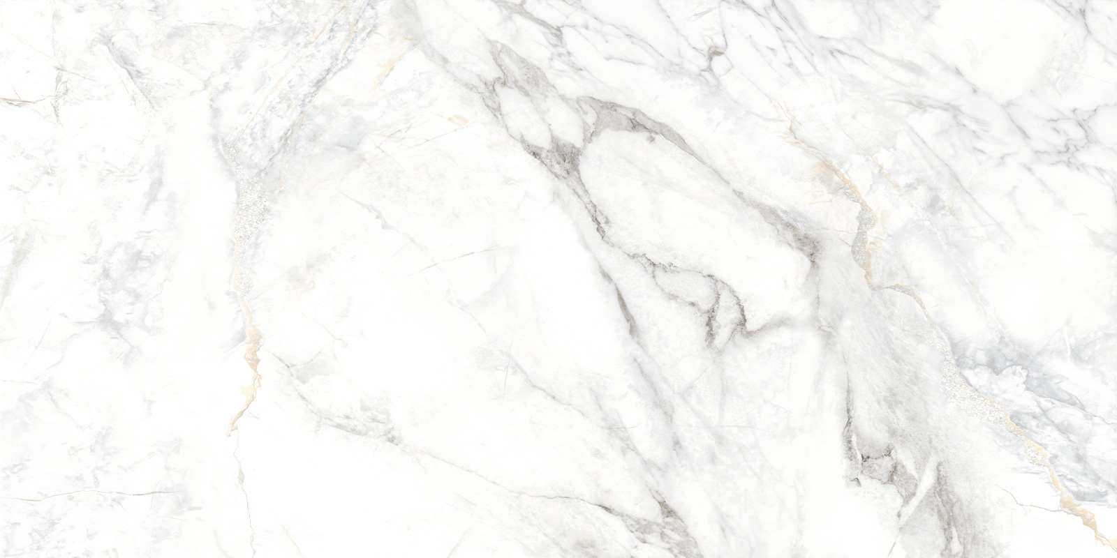 Delacora Керамогранит D120242M Bahamas Carrara матовый 600х1200x9.5 в интерьере