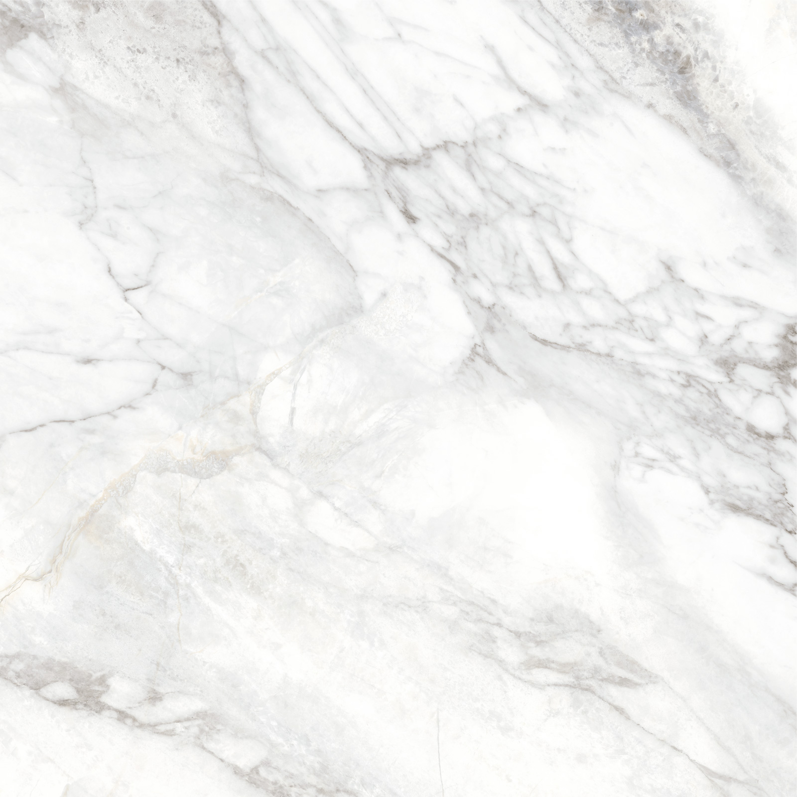 Delacora Керамогранит D60242M Bahamas Carrara матовый 600х600x9.5 в интерьере