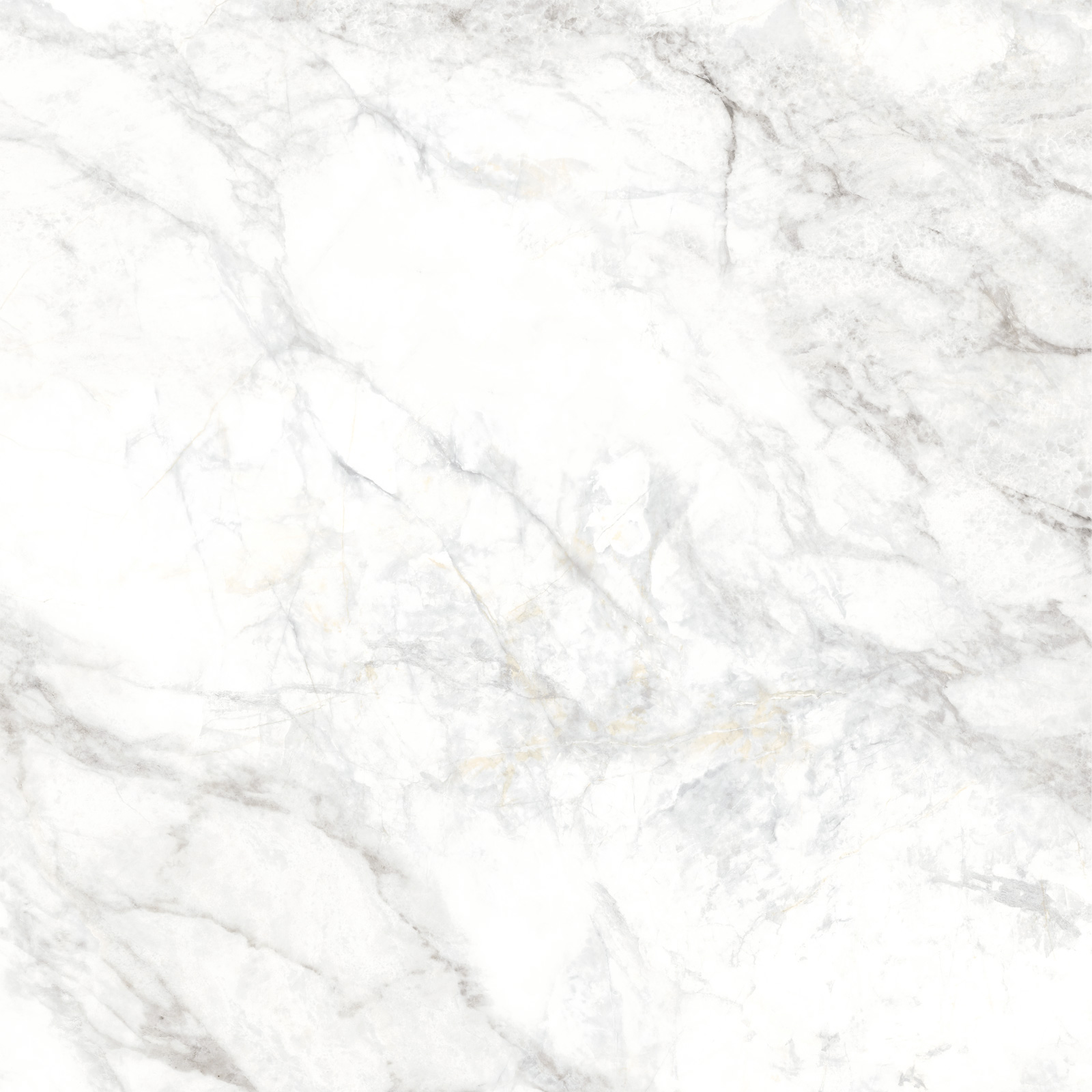 Delacora Керамогранит D60242M Bahamas Carrara матовый 600х600x9.5 в интерьере