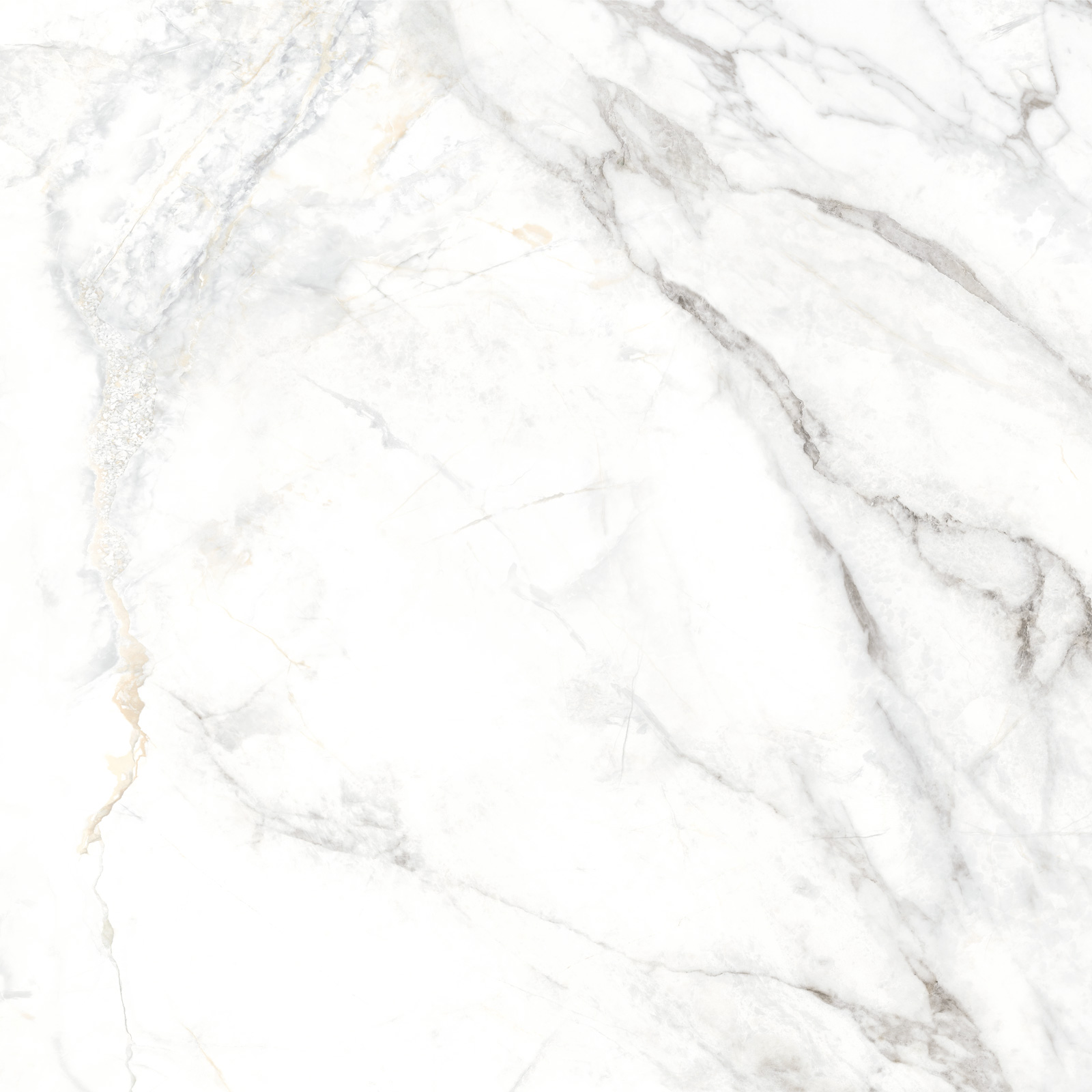 Delacora Керамогранит D60242M Bahamas Carrara матовый 600х600x9.5 в интерьере