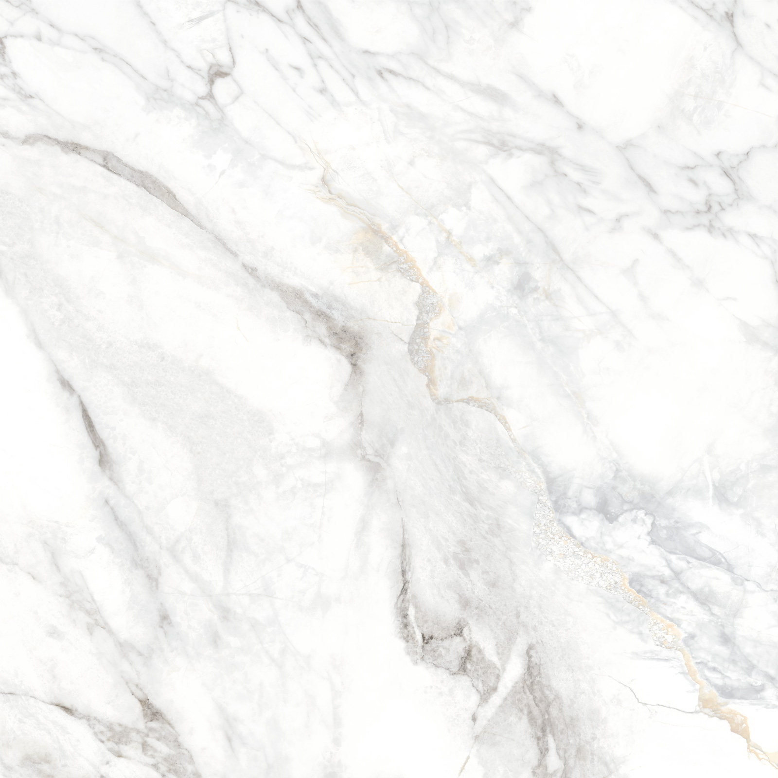 Delacora Керамогранит D60242M Bahamas Carrara матовый 600х600x9.5 в интерьере
