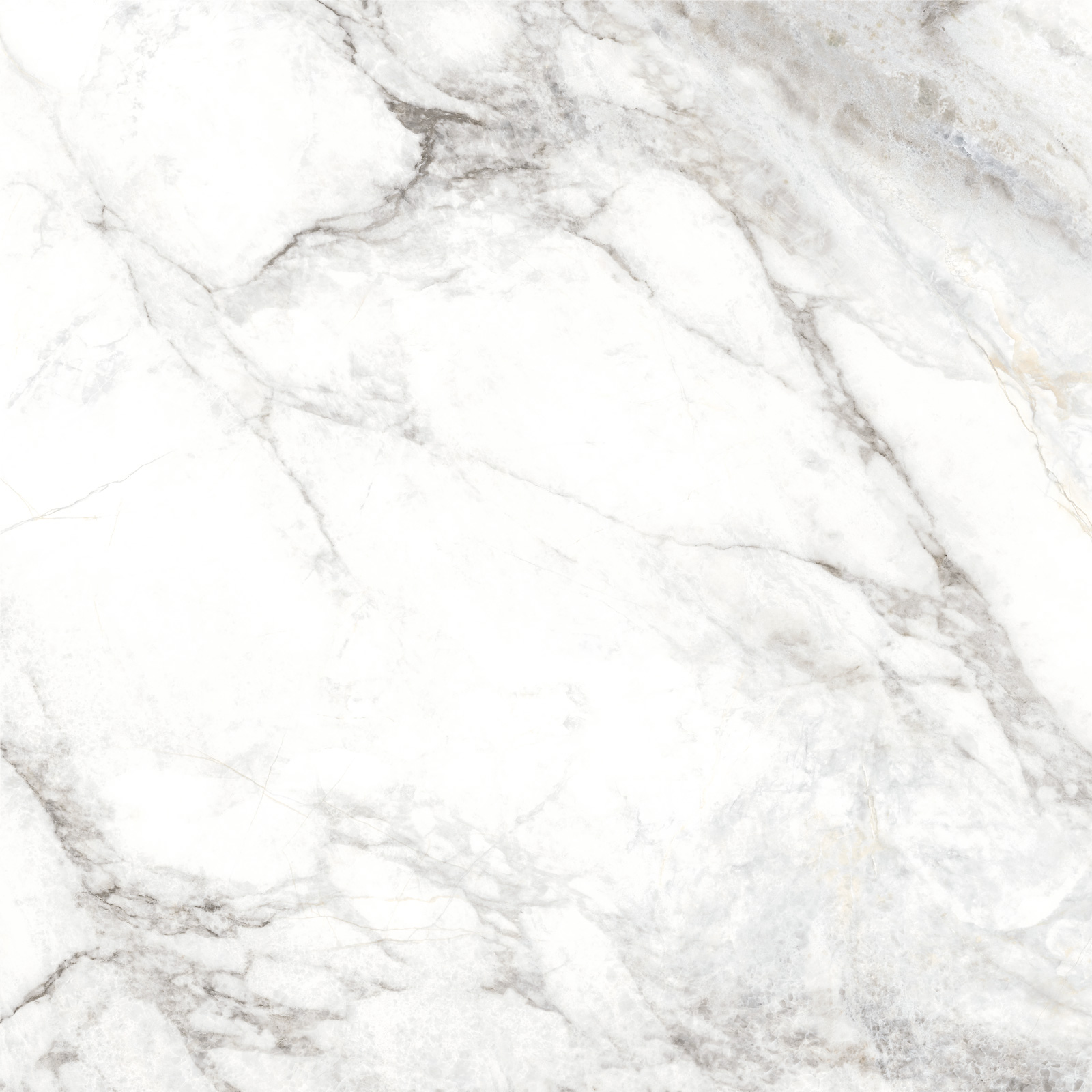 Delacora Керамогранит D60242M Bahamas Carrara матовый 600х600x9.5 в интерьере