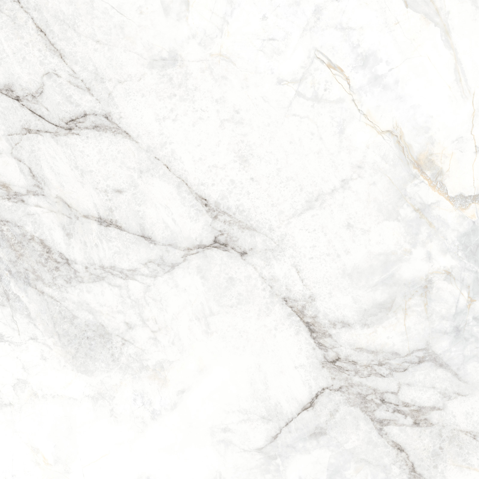 Delacora Керамогранит D60242M Bahamas Carrara матовый 600х600x9.5 в интерьере