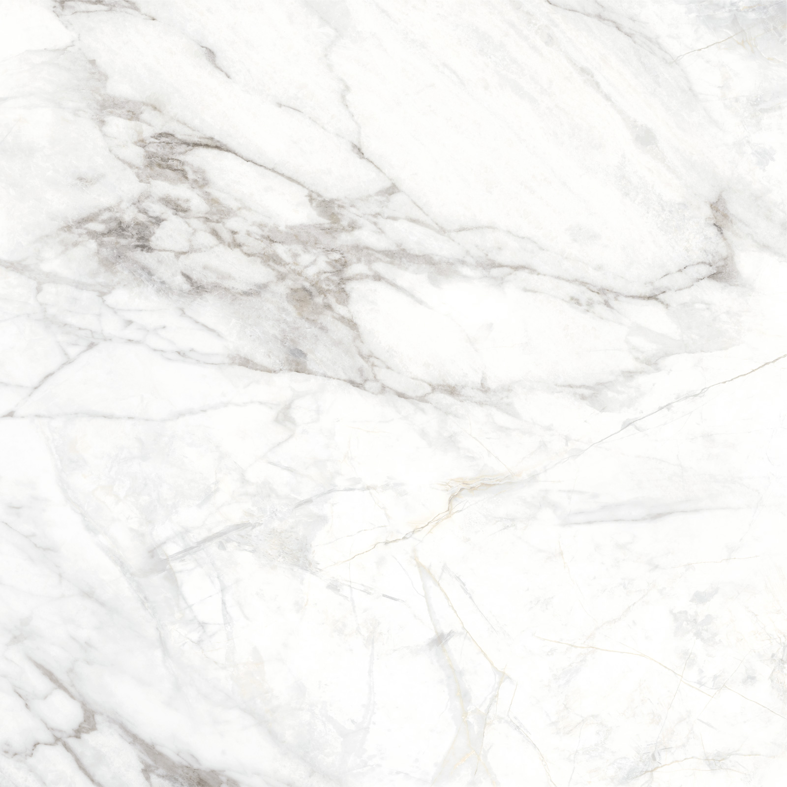 Delacora Керамогранит D60242M Bahamas Carrara матовый 600х600x9.5 в интерьере