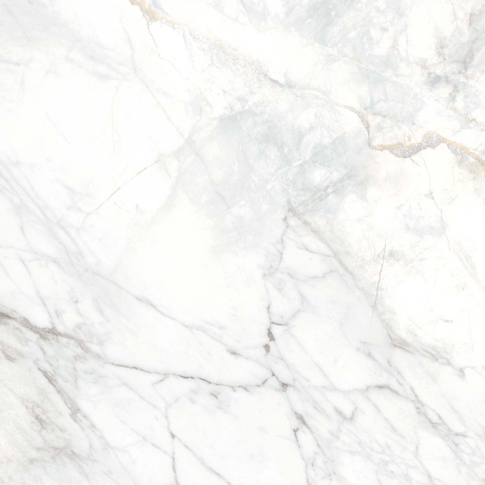 Delacora Керамогранит D60242M Bahamas Carrara матовый 600х600x9.5 в интерьере