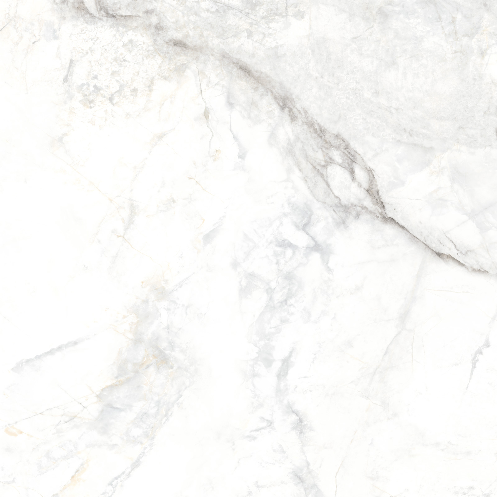 Delacora Керамогранит D60242M Bahamas Carrara матовый 600х600x9.5 в интерьере
