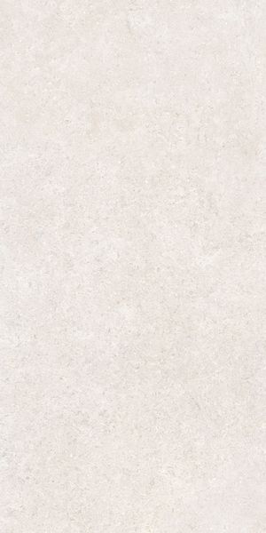 Напольная Vitra K948597R0001VTER SandStone Белый Мат R10A 60x120 в интерьере