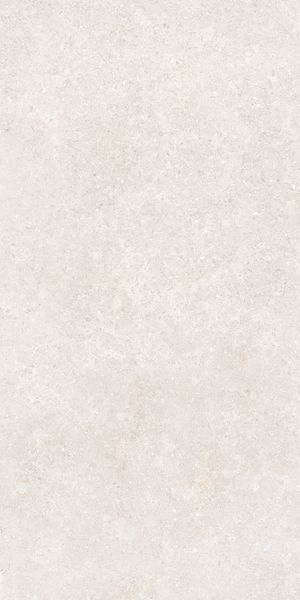 Напольная Vitra K948597R0001VTER SandStone Белый Мат R10A 60x120 в интерьере
