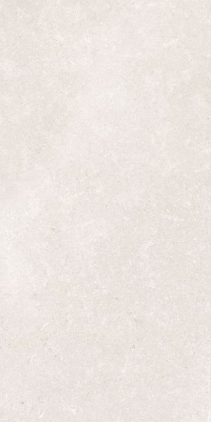 Напольная Vitra K948597R0001VTER SandStone Белый Мат R10A 60x120 в интерьере