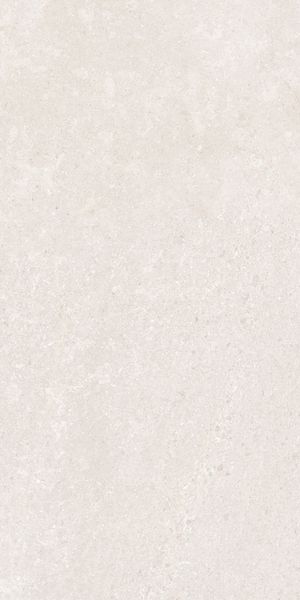 Напольная Vitra K948597R0001VTER SandStone Белый Мат R10A 60x120 в интерьере