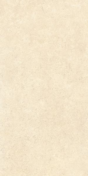 Напольная Vitra K948598R0001VTER SandStone Песочный Мат R10A 60x120 в интерьере