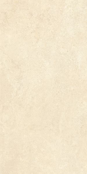 Напольная Vitra K948598R0001VTER SandStone Песочный Мат R10A 60x120 в интерьере