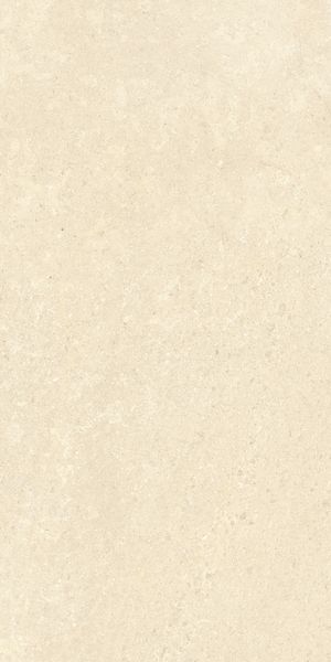 Напольная Vitra K948598R0001VTER SandStone Песочный Мат R10A 60x120 в интерьере