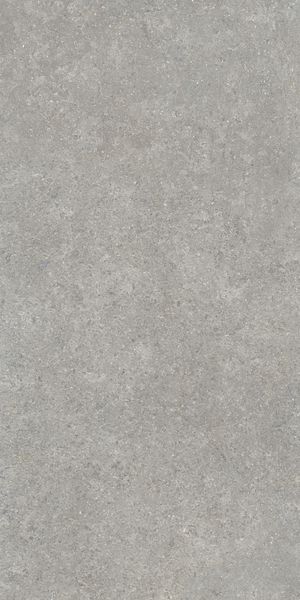 Напольная Vitra K948634R0001VTER SandStone Серый Мат R10A 60x120 в интерьере