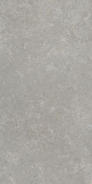Напольная Vitra K948634R0001VTER SandStone Серый Мат R10A 60x120 в интерьере