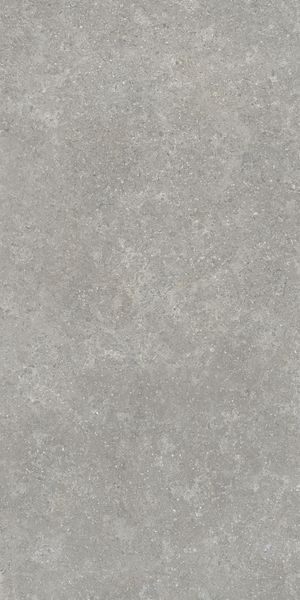 Напольная Vitra K948634R0001VTER SandStone Серый Мат R10A 60x120 в интерьере