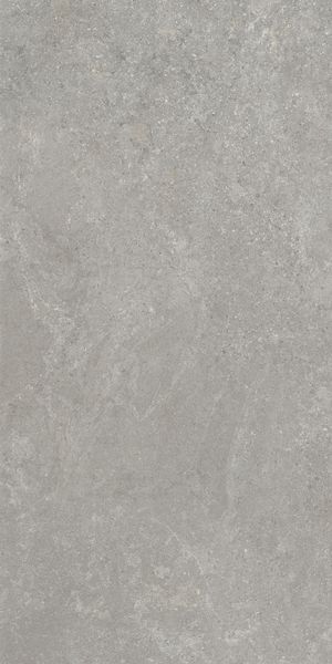 Напольная Vitra K948634R0001VTER SandStone Серый Мат R10A 60x120 в интерьере