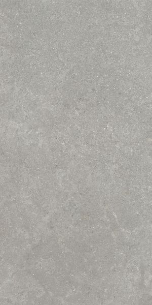 Напольная Vitra K948634R0001VTER SandStone Серый Мат R10A 60x120 в интерьере