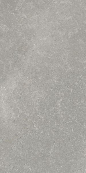 Напольная Vitra K948634R0001VTER SandStone Серый Мат R10A 60x120 в интерьере