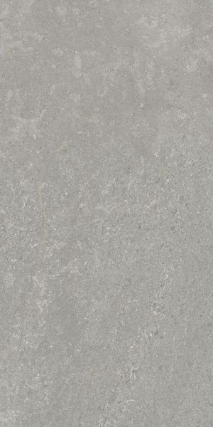 Напольная Vitra K948634R0001VTER SandStone Серый Мат R10A 60x120 в интерьере