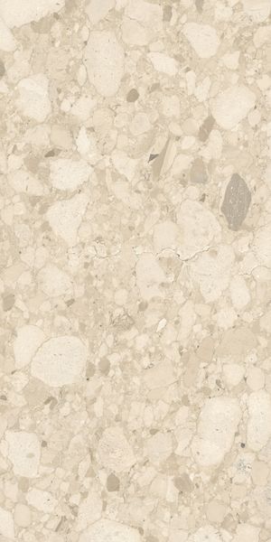 Vitra K948701R0001VTER SoftCeppo Песочный Матовый R10A 60x120 в интерьере