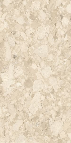 Vitra K948701R0001VTER SoftCeppo Песочный Матовый R10A 60x120 в интерьере