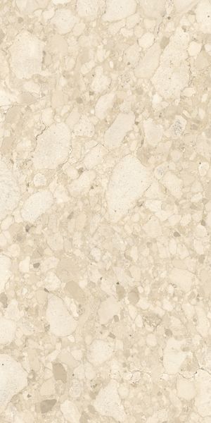Vitra K948701R0001VTER SoftCeppo Песочный Матовый R10A 60x120 в интерьере
