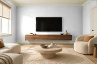 Краска PANTONE 623 C — тв-зона в стиле джапанди